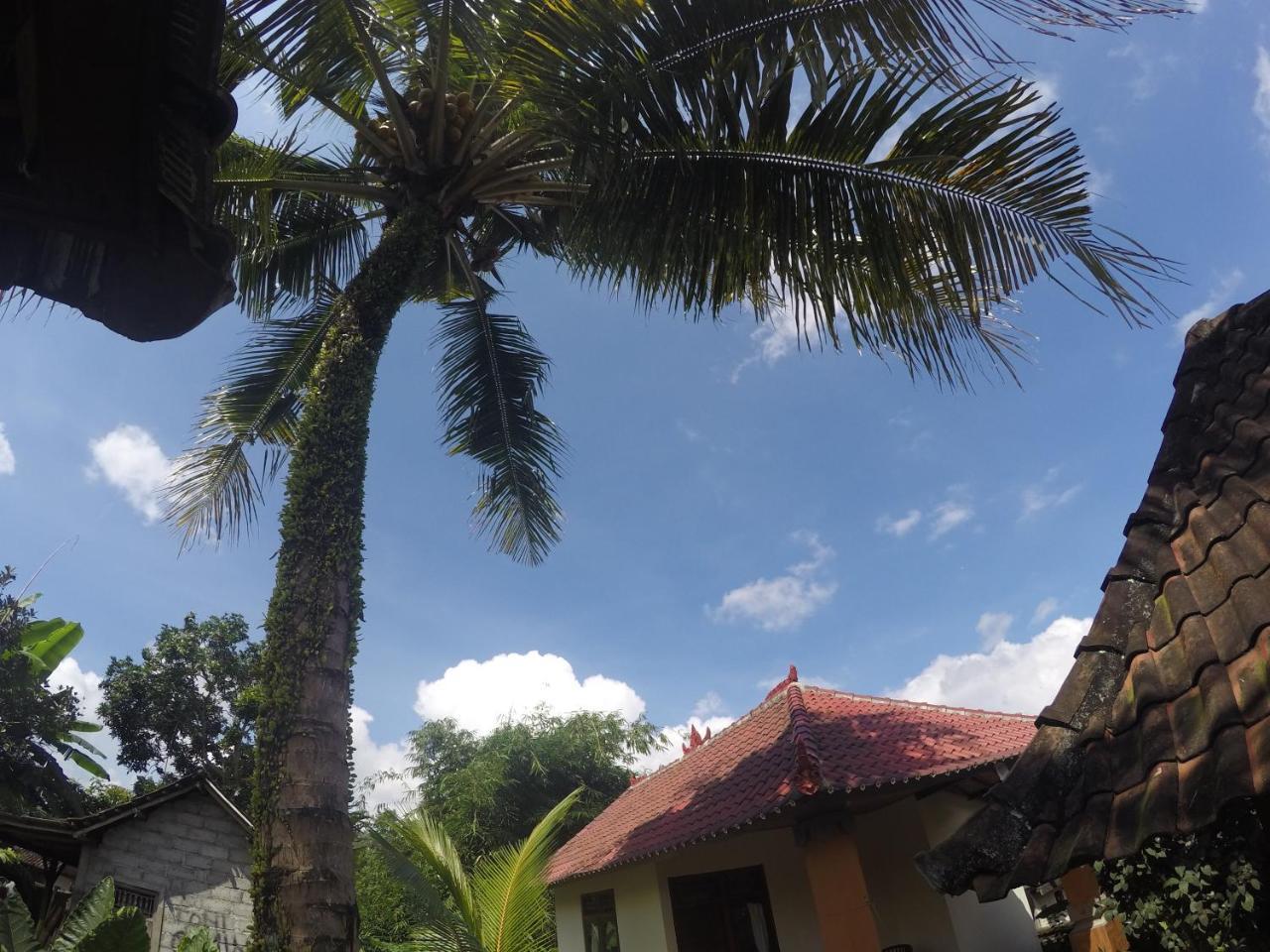 Dipa Home Stay Ubud Exteriör bild