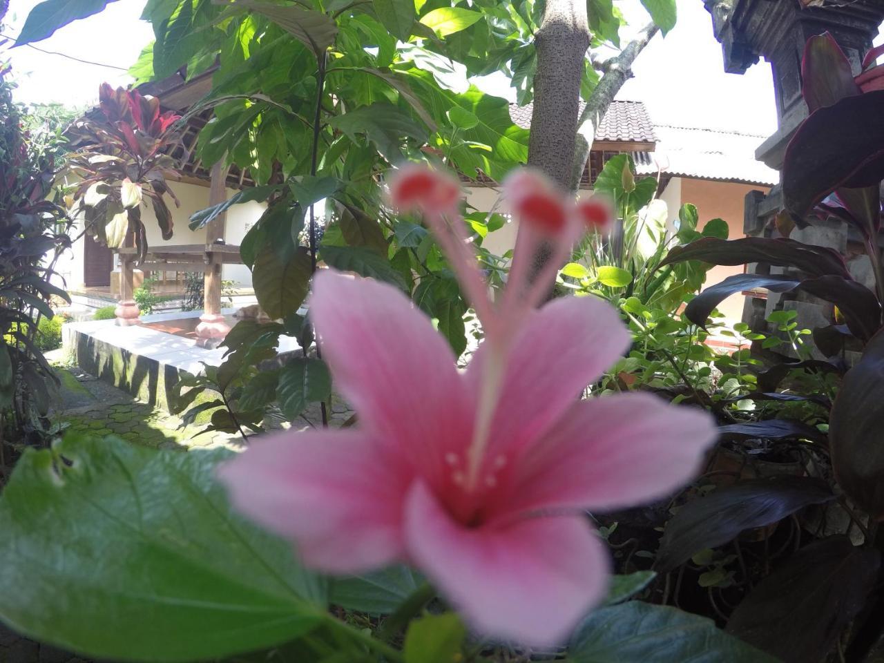 Dipa Home Stay Ubud Exteriör bild